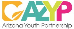 Arizona Youth Partnership
